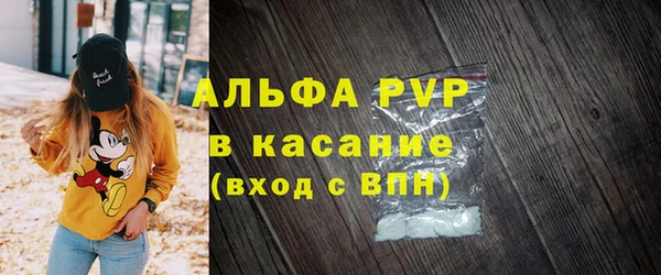 прущие грибы Баксан