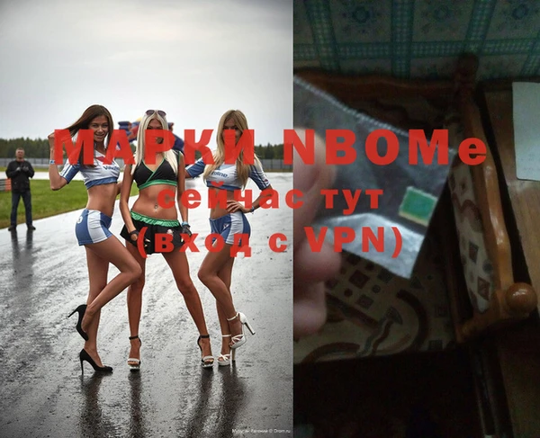 прущие грибы Баксан