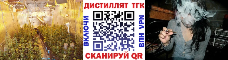 закладка  Сретенск  ТГК Wax 